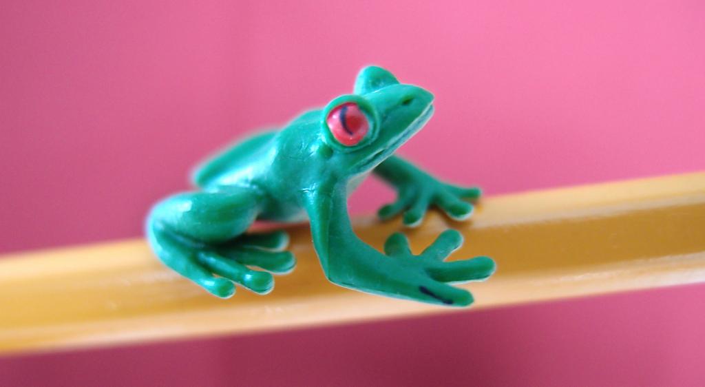 frog on a pencil