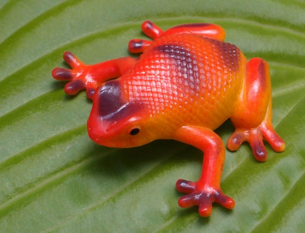 rubber frog