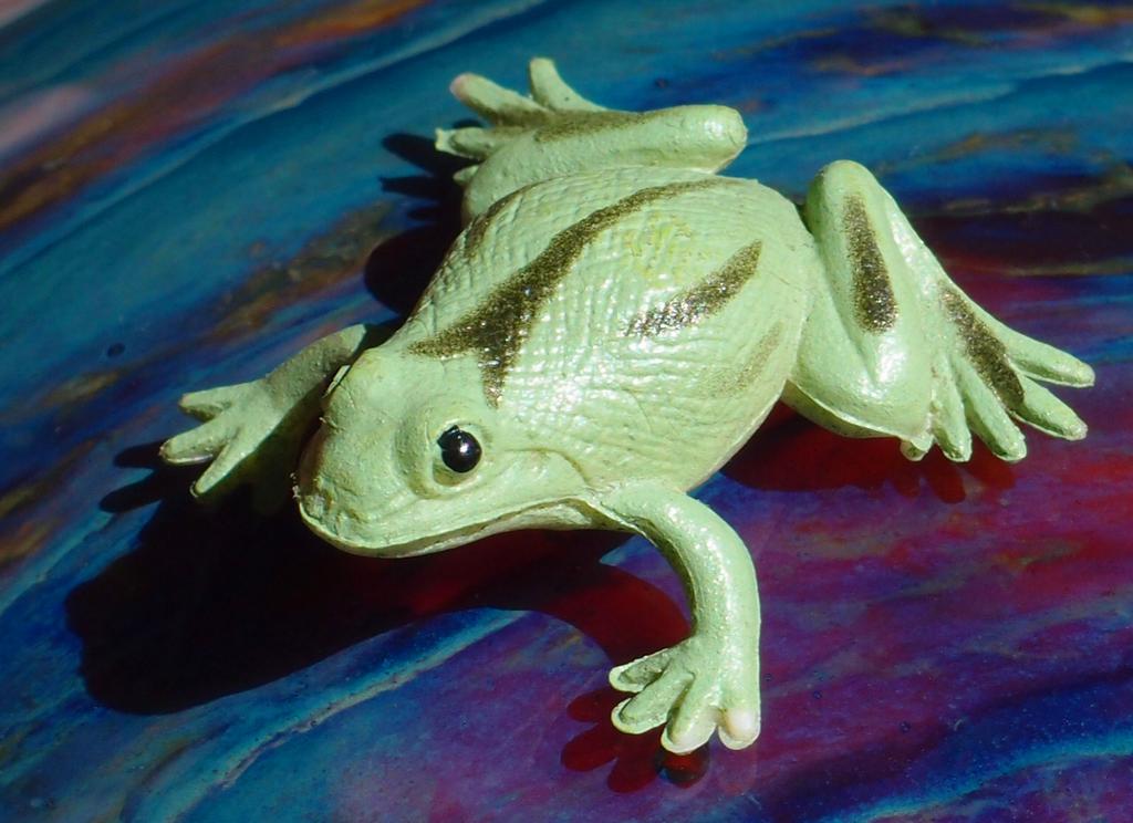 little rubber frog