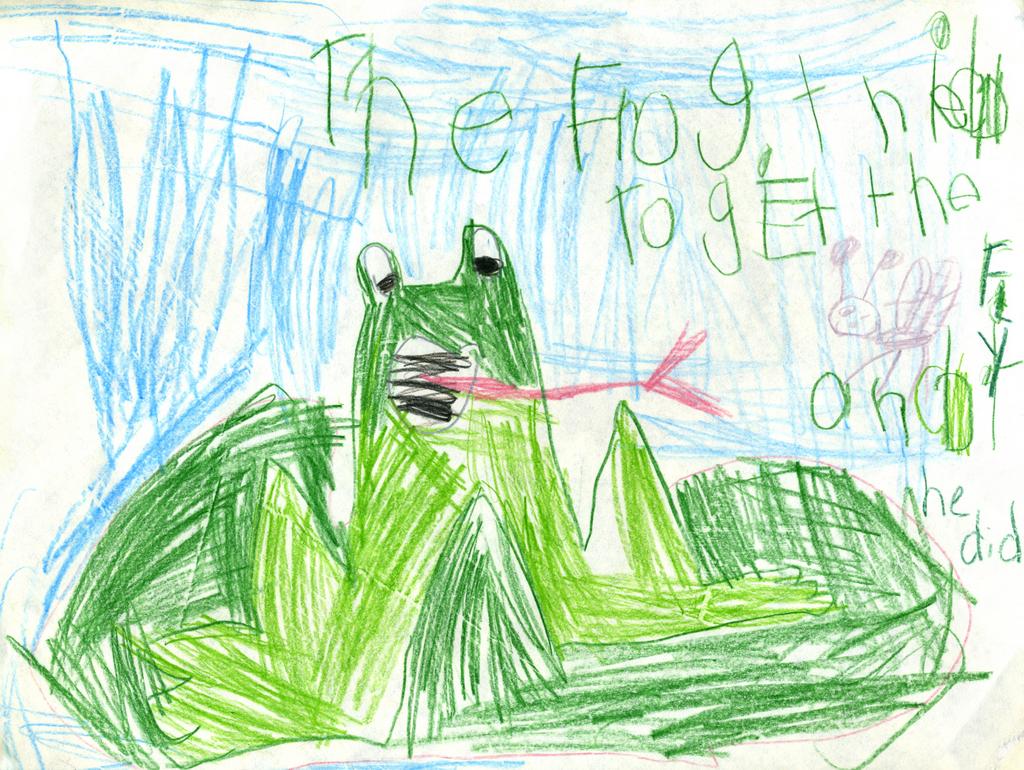 frog-and-fly drawing