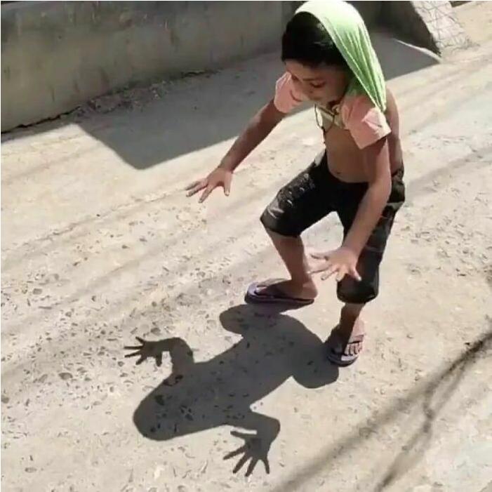 shadow frog