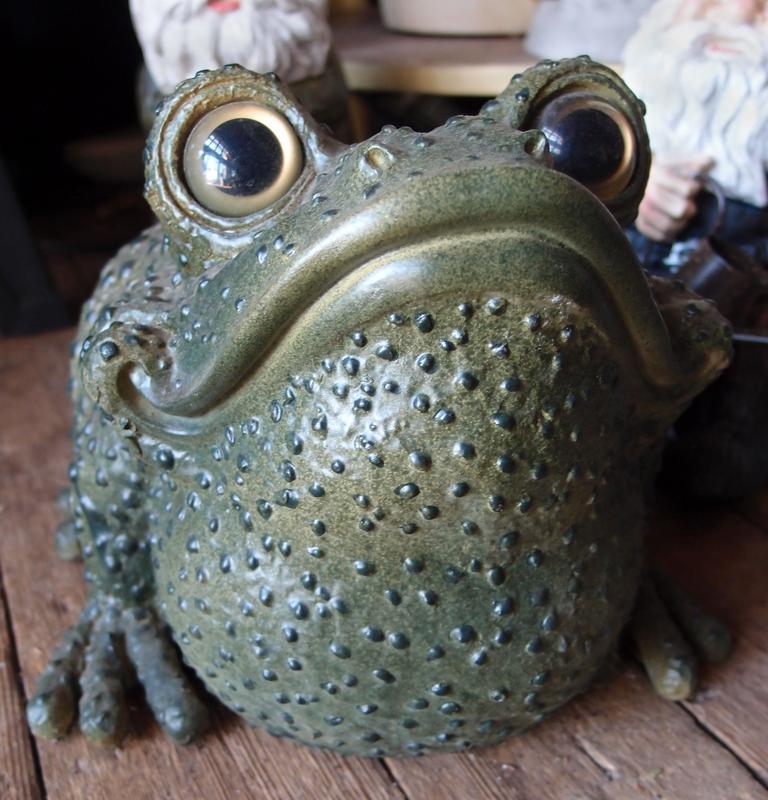 burpy frog