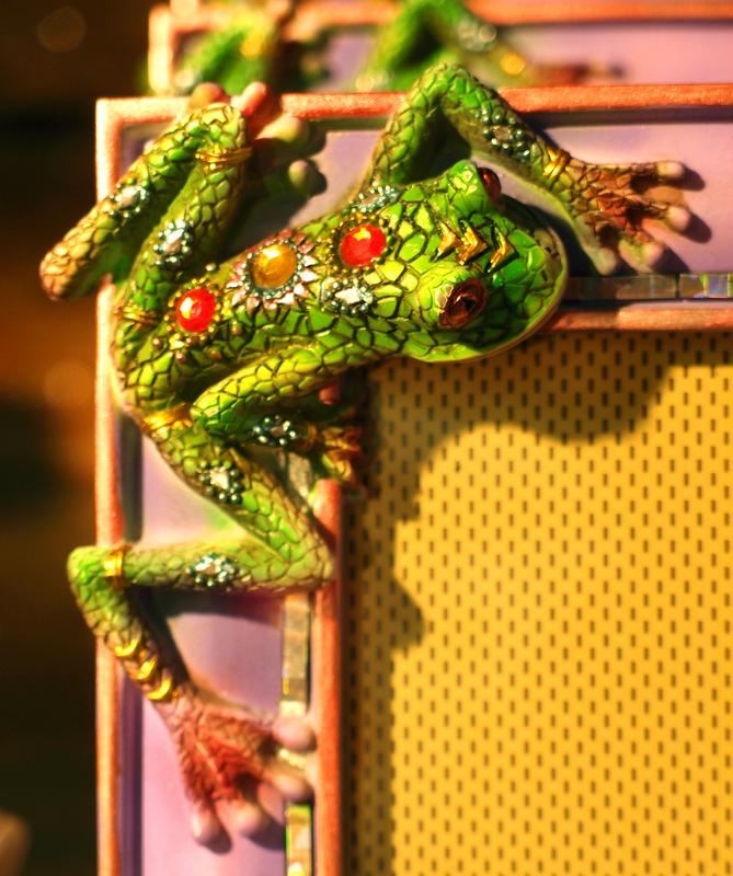 picture-frame frog