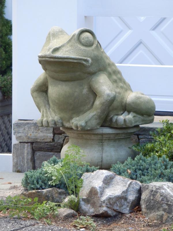 guard frog