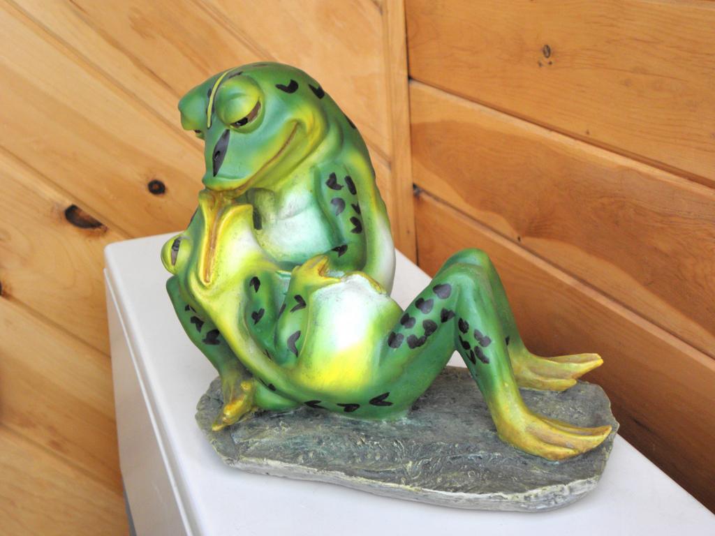 frog lovers statue