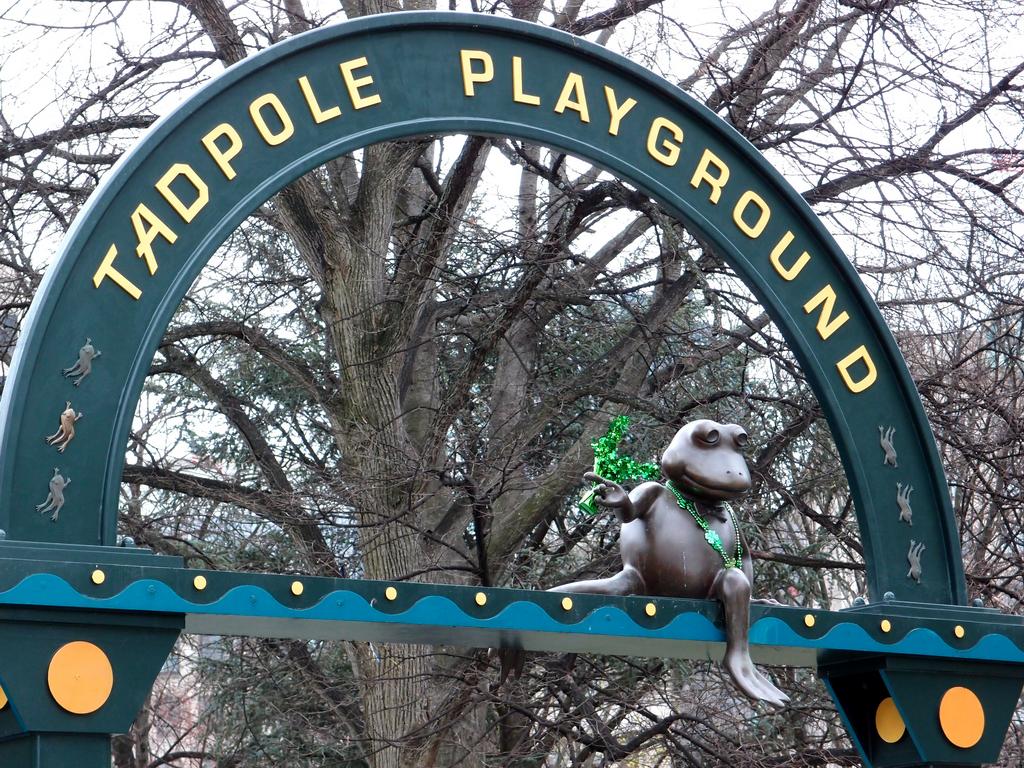 Tadpole Playground