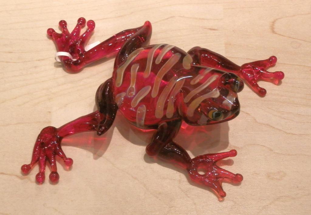 red glass frog
