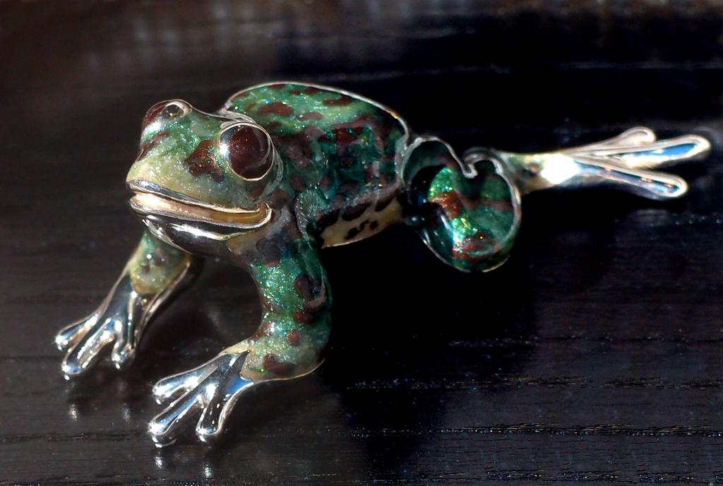 fine-art frog