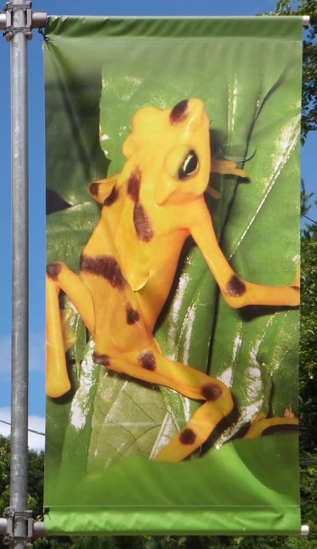 frog banner at Stone Zoo in Stoneham, MA