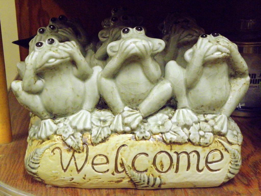 welcome frog trio