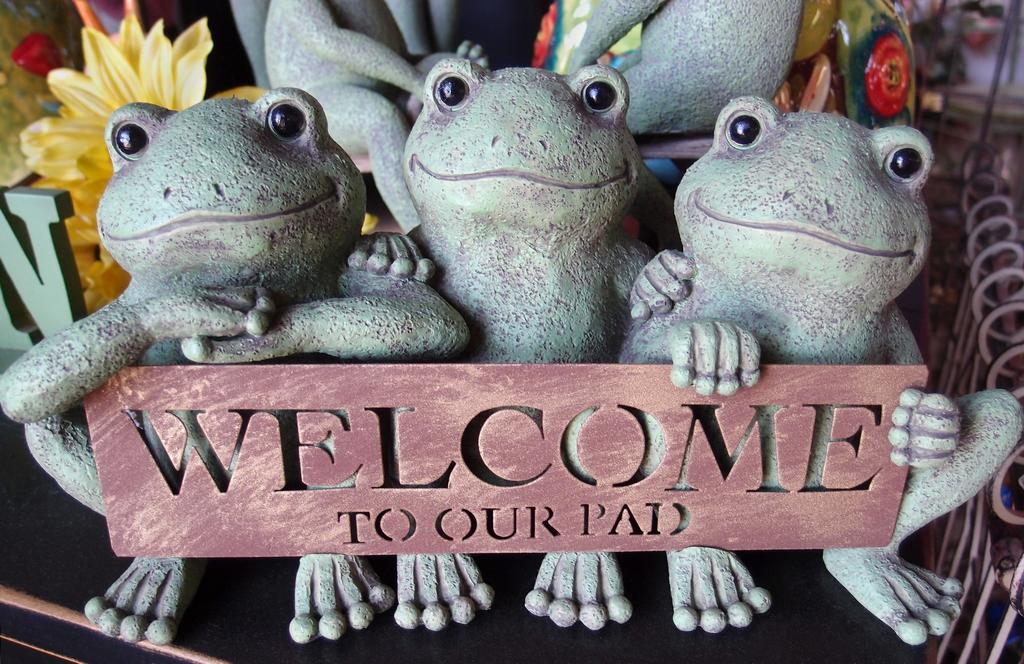 welcome frog trio