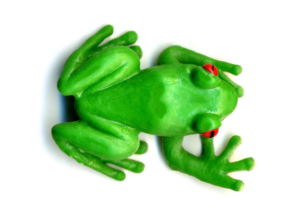 miniature frog