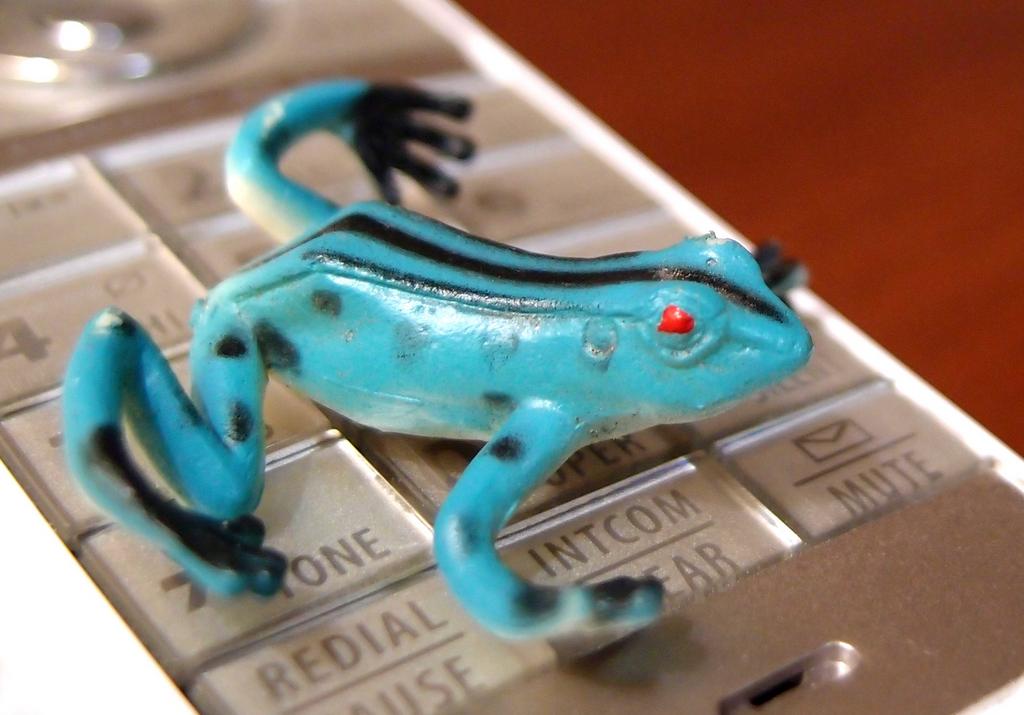 frog on a phone