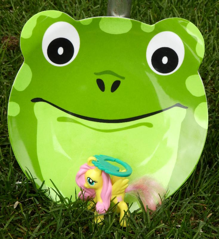 frog plate and Fluttershy toy