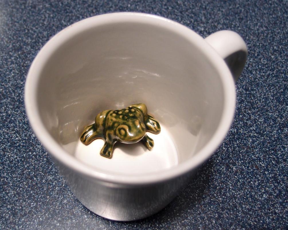 frog in a mug