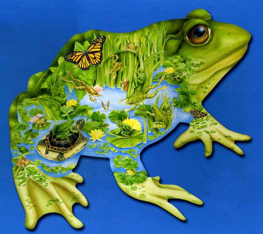frog jigsaw puzzle