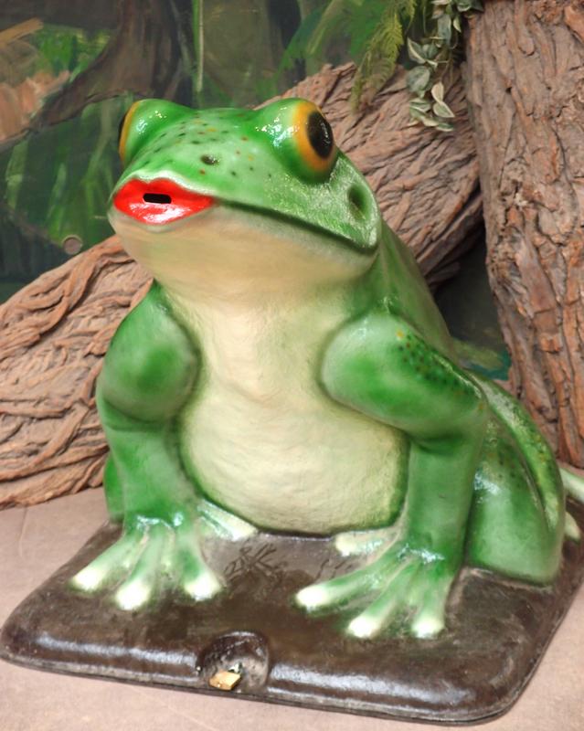 piggy-bank frog