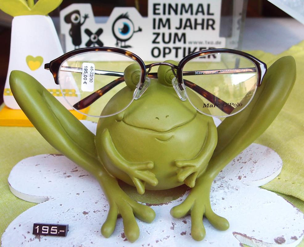 optical frog