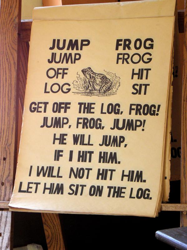 frog-on-a-log school lesson