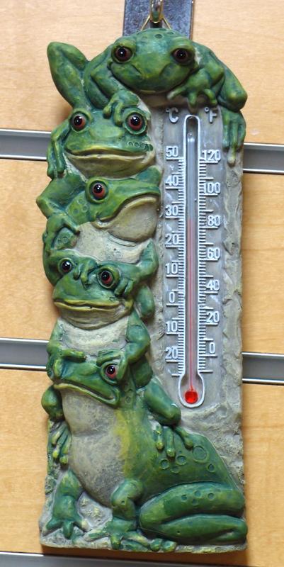 froggy thermometer