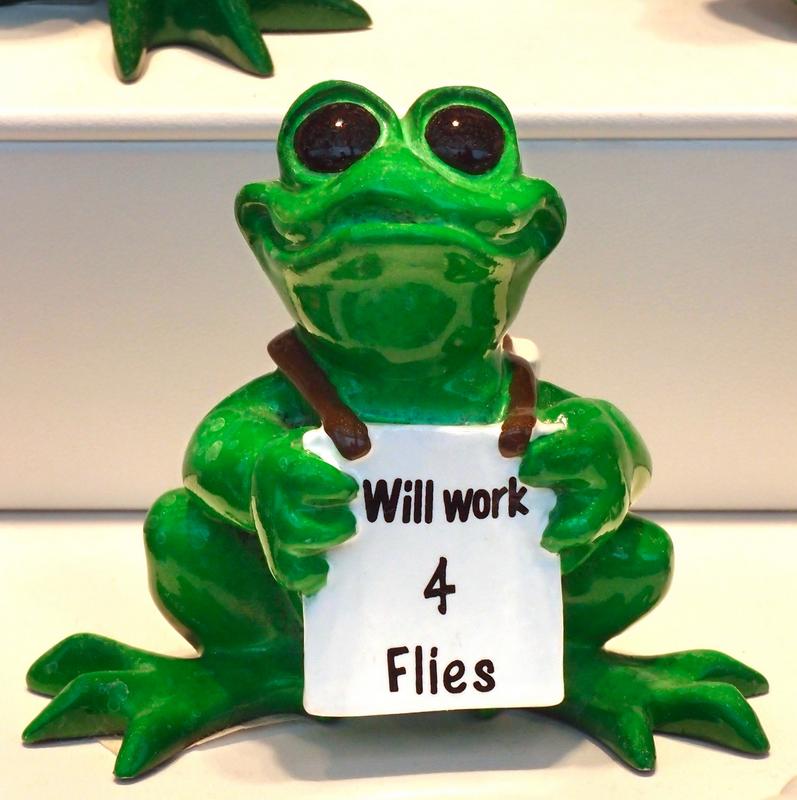 frog looking for work