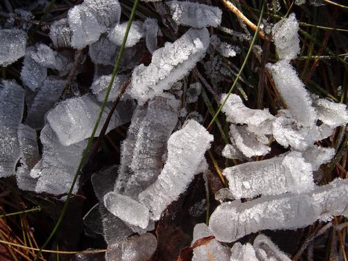 ice crystals on the summit of Abbott Mountain in Maine