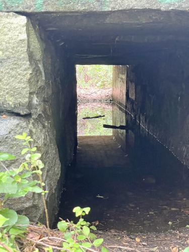 stone tunnel in July at Acker Conservation Land near Westford in northeast MA