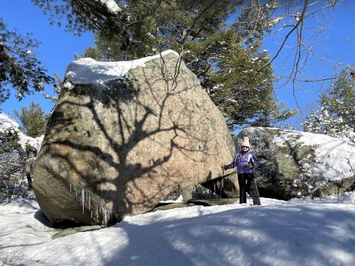 Andee in January beside Little Agassiz Rock near Essex in northeast Massachusetts