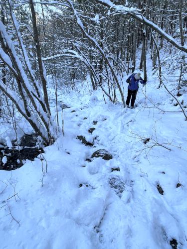 trail in January at Agassiz Rock near Essex in northeast Massachusetts