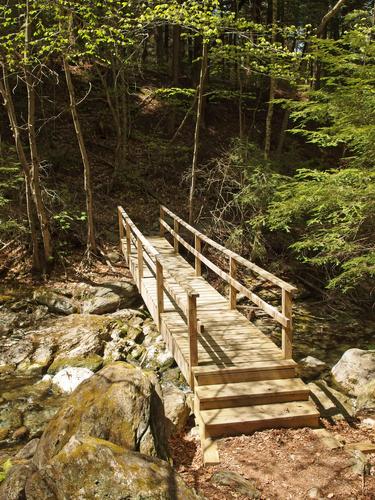 footbridge at Alander Mountain in southwestern Massachusetts