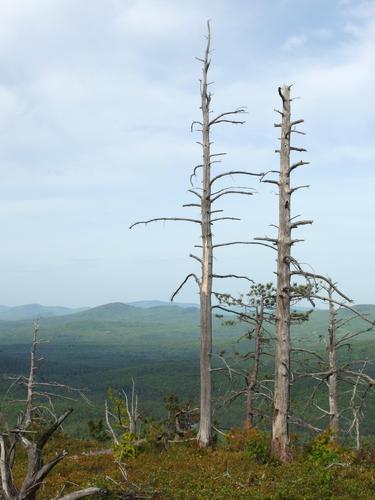 view from the open summit of Farwell Mountain in western Maine