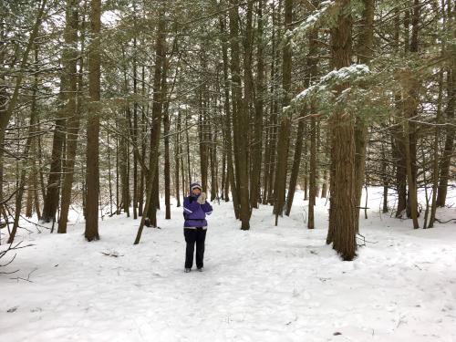 Andee enjoying being alone in the midst of beautiful woods near Allen Hill at Shelburne Bay Park in Vermont