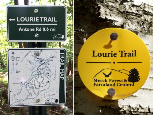 trail signage at Antone Mountain in southwest Vermont