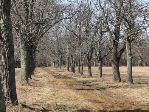 old carriage road in March at Appleton Farms in northeastern Massachusetts