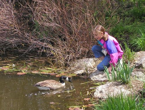 visitor meets bird at the Arnold Arboretum in Massachusetts