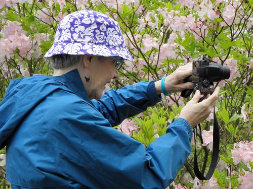 photographer at the Arnold Arboretum on Lilac Sunday