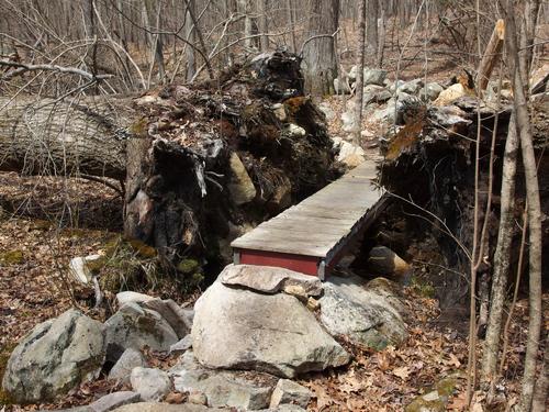 trail footbridge at Ashland Town Forest in eastern Massachusetts