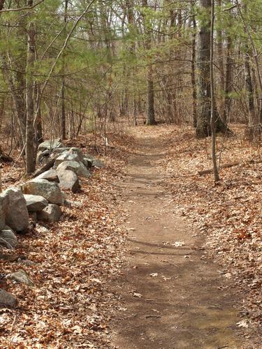 trail at Ashland Town Forest in eastern Massachusetts