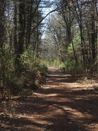 trail at Assabet River NWR in eastern Massachusetts