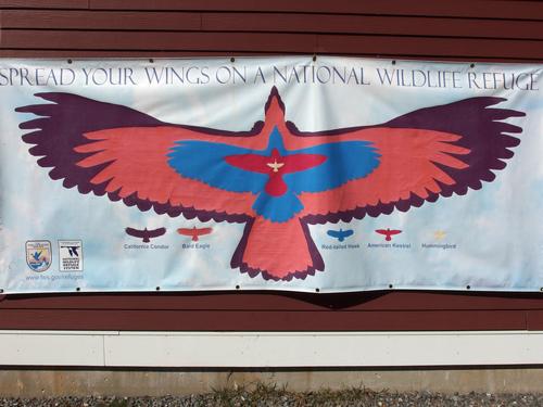 true-to-life-size bird banner on the Visitor Center at Assabet River National Wildlife Center near Sudbury in eastern Massachusetts
