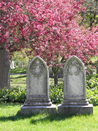 colorful scene at Mount Auburn Cemetery in Massachusetts
