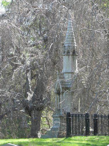 mystic early-Spring scene at Mount Auburn Cemetery in Massachusetts