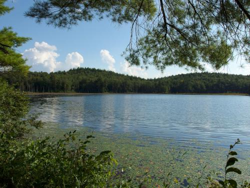 view of Bailey Pond in August from its circumferential trail near New Boston in southern New Hampshire