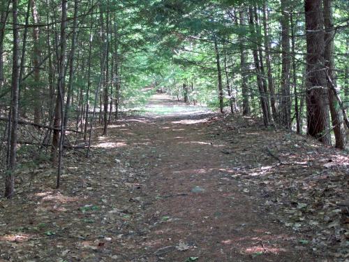 trail at Bailey Pond in southern New Hampshire
