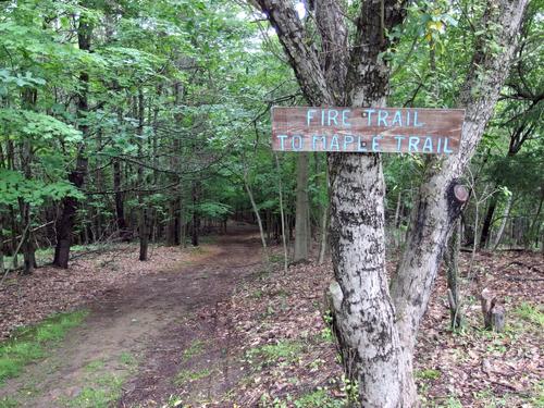 hiking trail at Balch Hill in New Hampshire