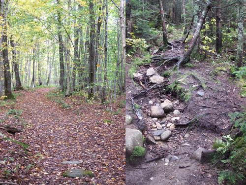 good and bad sections of the trail to Bald Mountain in northern Vermont