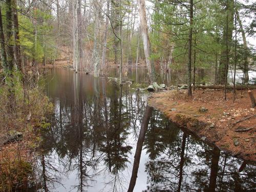 flooded trail at Bald Hill Conservation Area in northeastern Massachusetts