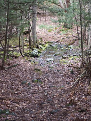 trail at Bald Hill Conservation Area in northeastern Massachusetts