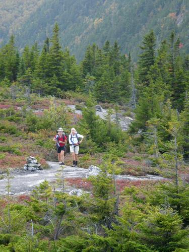 hikers on the trail to Baldface Mountain in New Hampshire