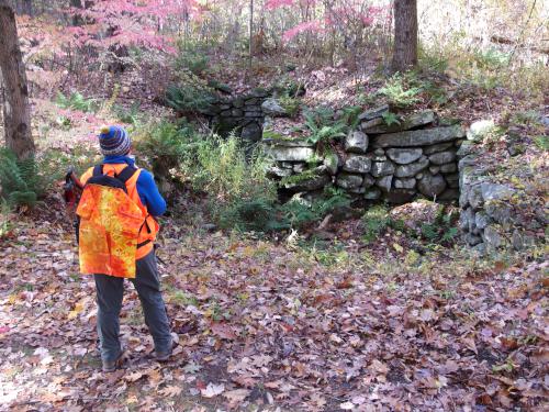 Andee checks a cellar hole beside the trail to Ball Hill near Leominster MA